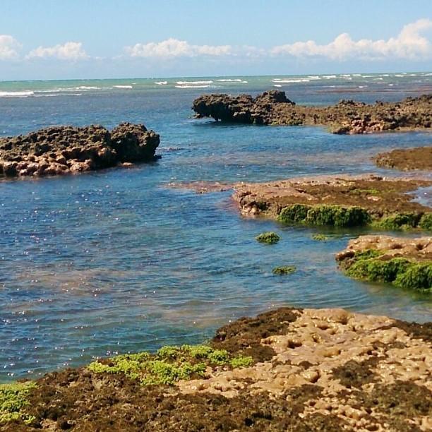 Caboco Sonhado Passeios Nauticos E Pousada Mundaú Exterior foto
